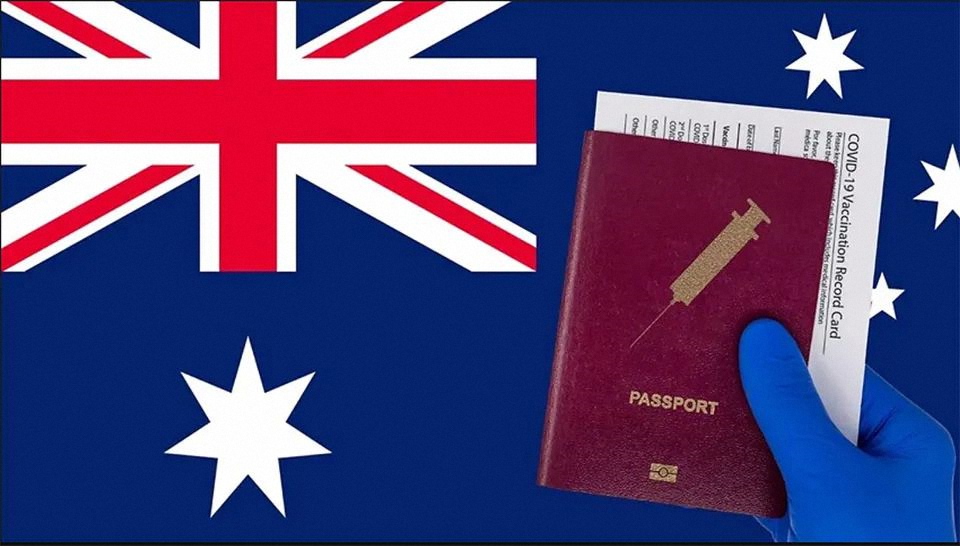 408签证 疫情签证 工签 毕业生工签 485签证